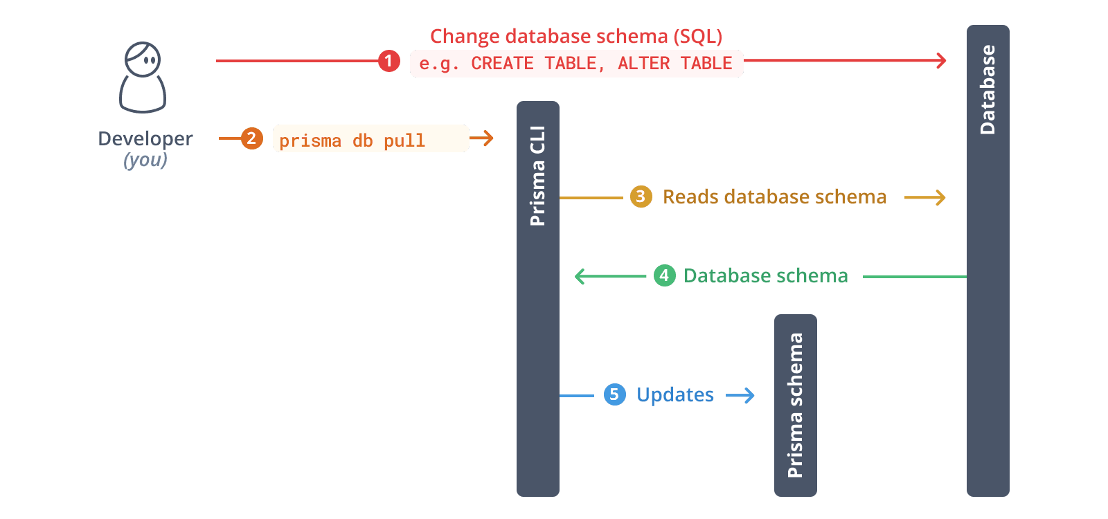 Introspect your database with Prisma ORM